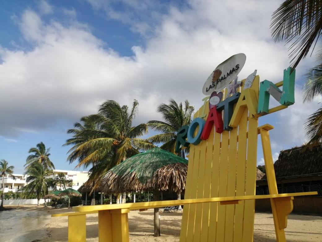 Las Palmas Beach Hotel Dixon Cove Exterior photo
