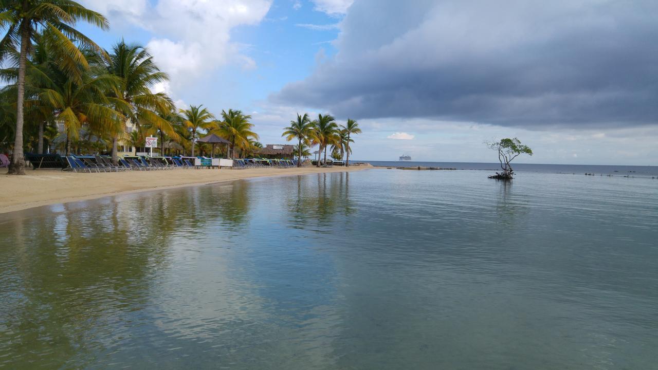 Las Palmas Beach Hotel Dixon Cove Exterior photo