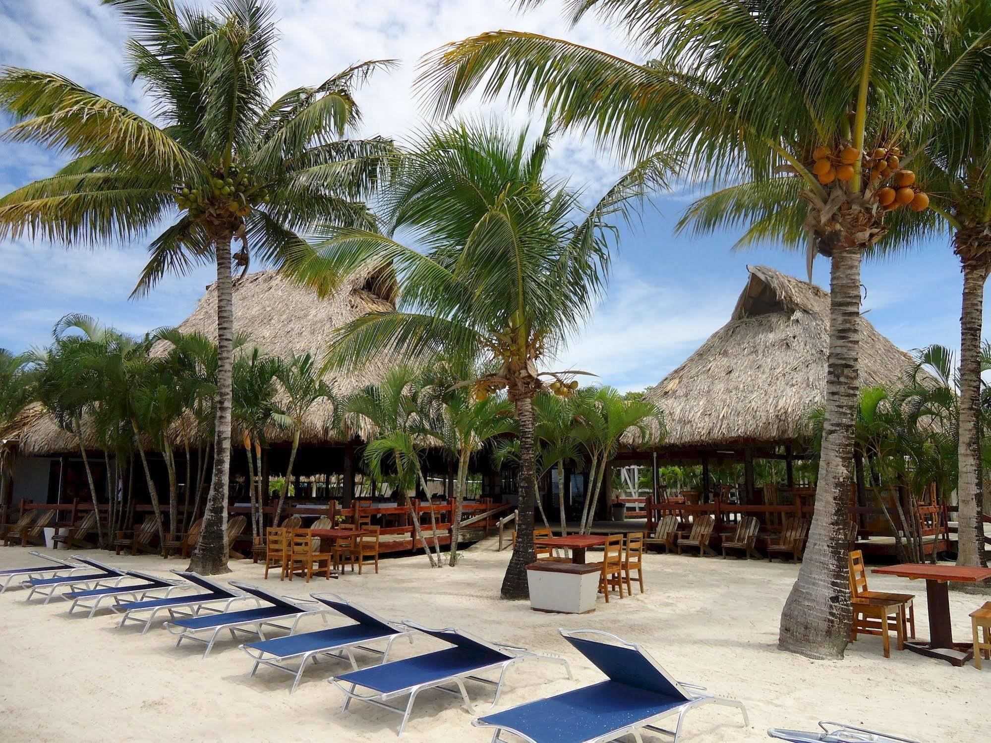 Las Palmas Beach Hotel Dixon Cove Exterior photo