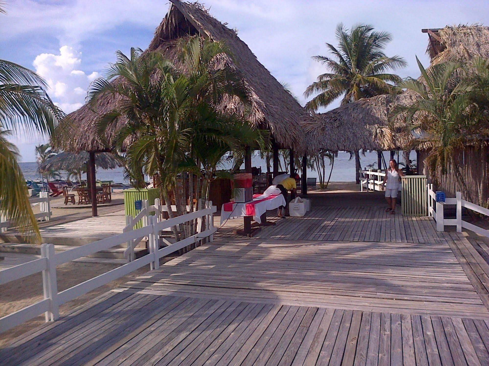 Las Palmas Beach Hotel Dixon Cove Exterior photo